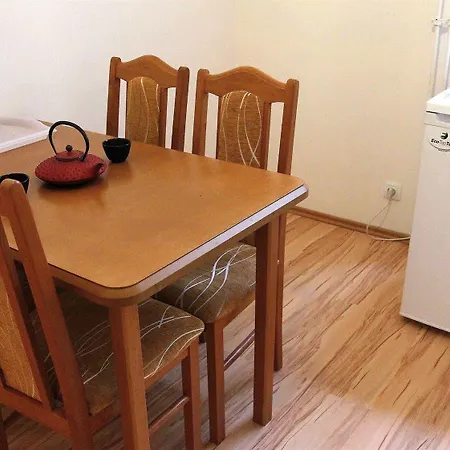 Goethe U Tri Moureninu Hotel 4*